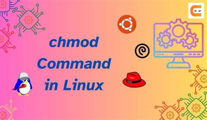 'chmod u+x' versus 'chmod +x'