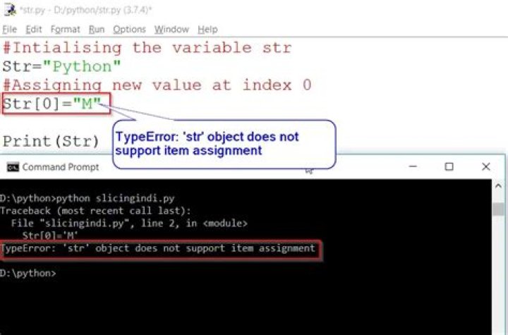 'str' object does not support item assignment