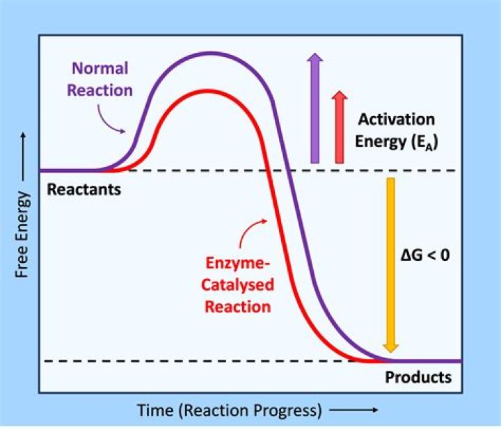 1/1000 chance of a reaction. If you do the action 1000 times, whats the new chance the reaction occurs?