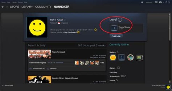 1 Year Service on Steam, but no badge earned