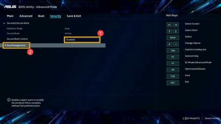 11.10 won't boot cleanly on ASUS P8Z68-V/gen3