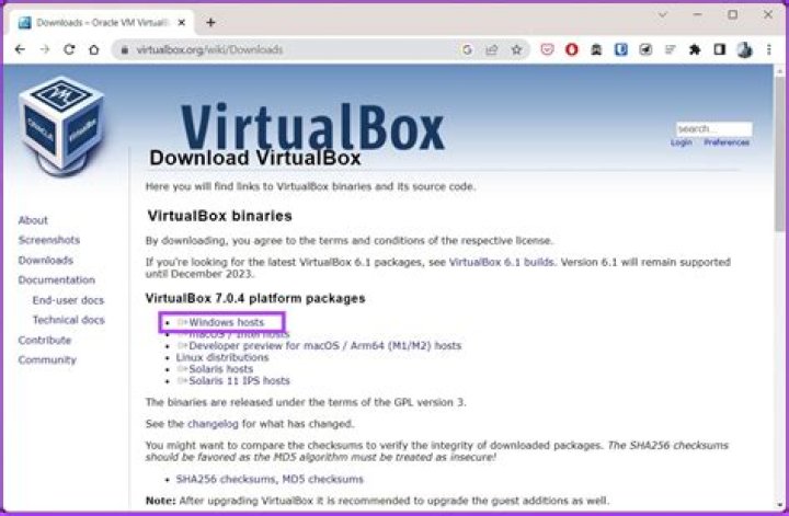 2 Displays on a VirtualBox
