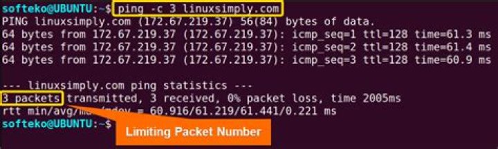 2 minutes interval ping in Linux