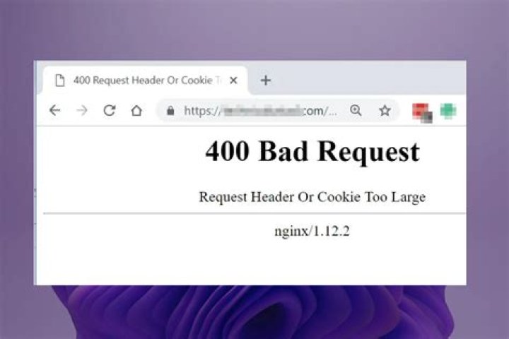 400 Bad Request - request header or cookie too large