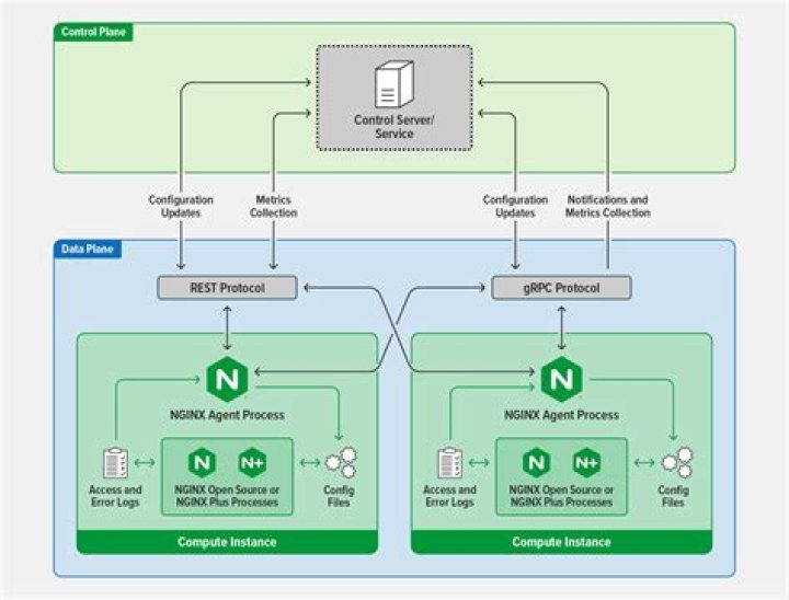 404 after logging in phpmyadmin with Nginx
