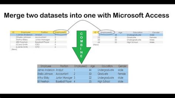 Access Query How to Merge Two Fields Into One [closed]