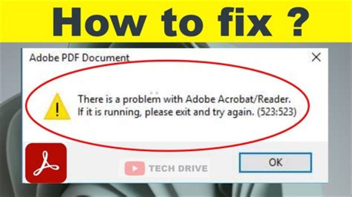 Adobe Reader problem in running: internal error