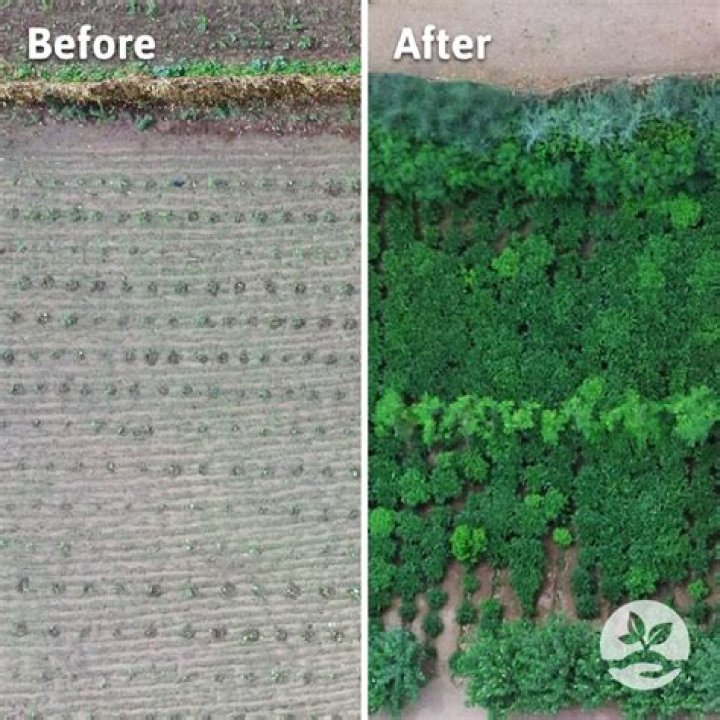 After planting