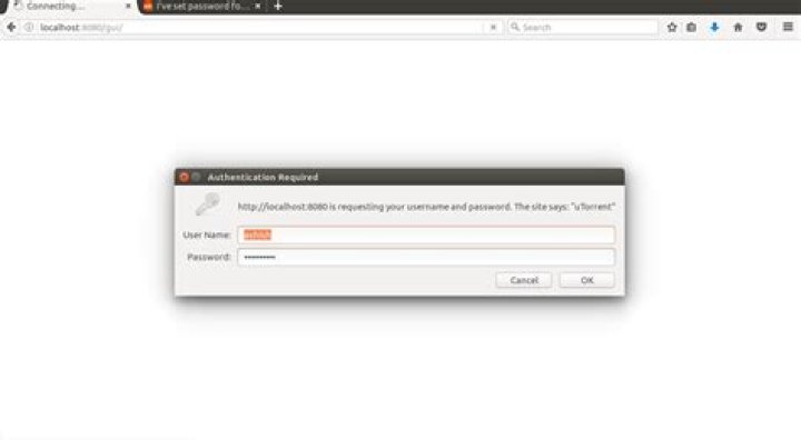 After setting password for utorrent on Ubuntu 17.04 at localhost:8080/gui I can't use it