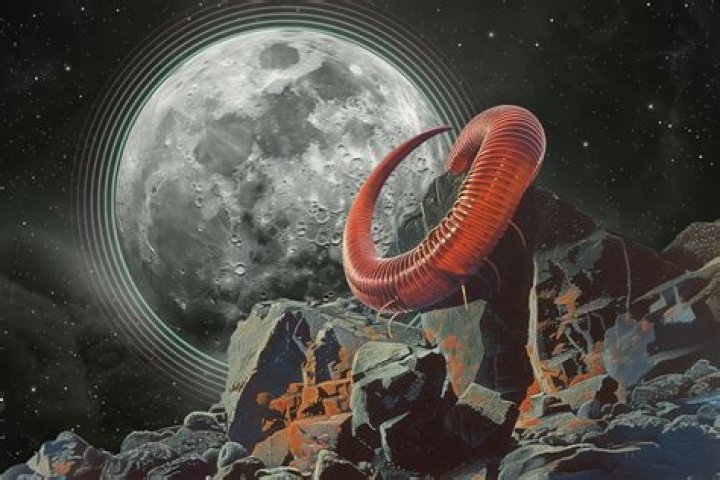 After the Worm. Time is sight, gravity is desire, everything is awesome.