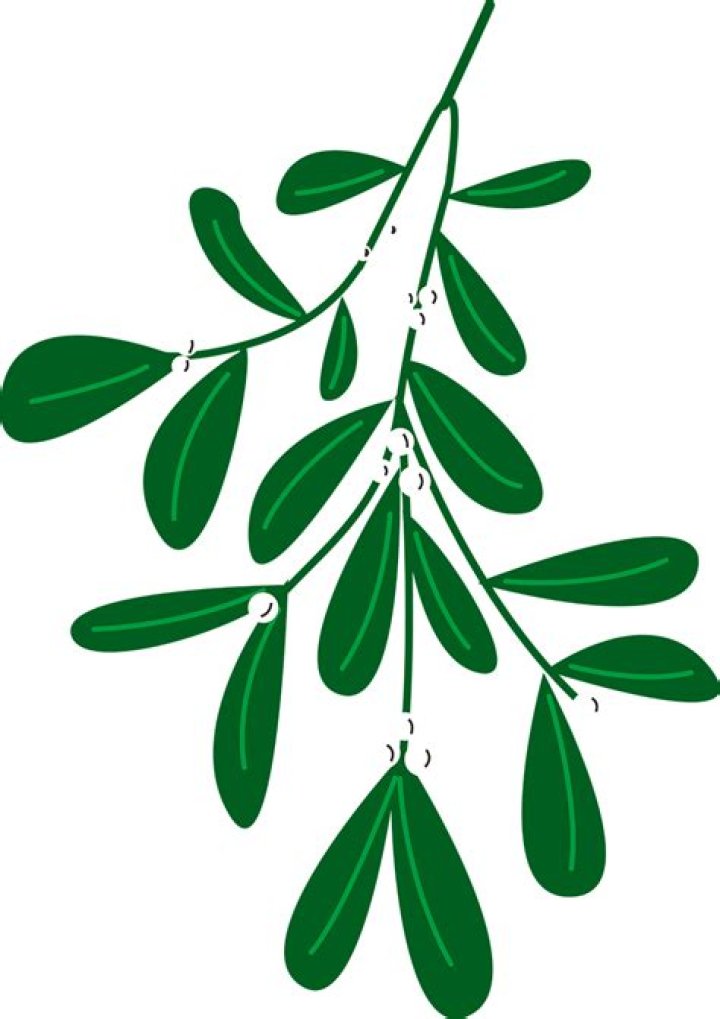 AKBL GUI.png