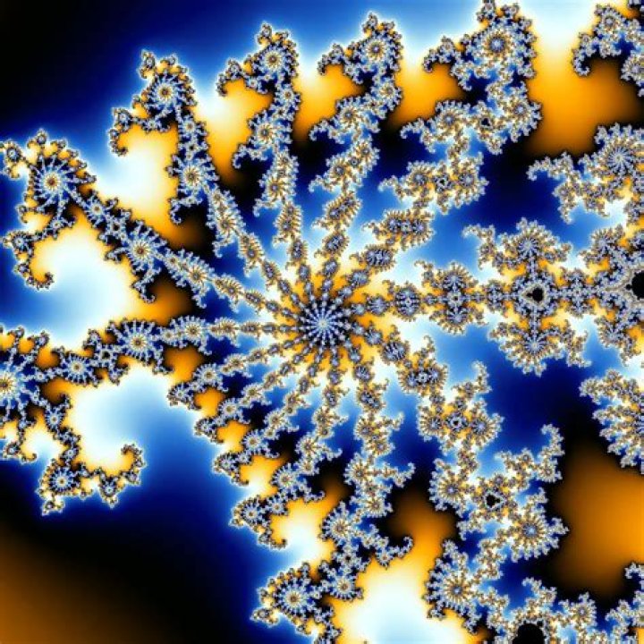 An image of the Mandelbrot set.