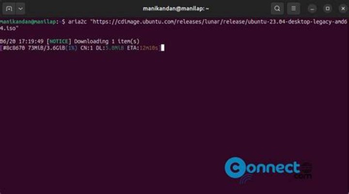 Any recommendations for a command-line download manager?