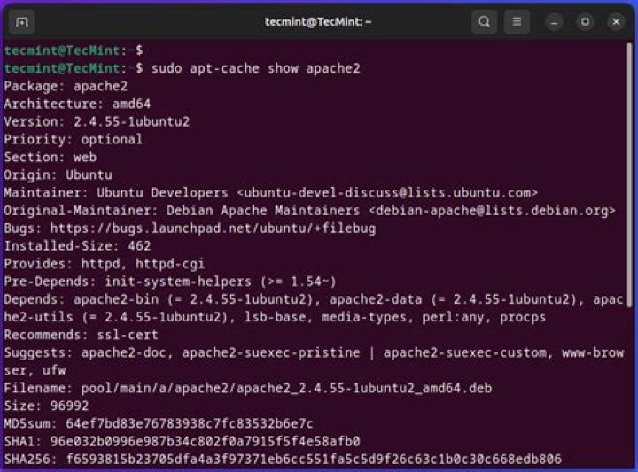 apt-cache show new version to install but apt-get does nothing
