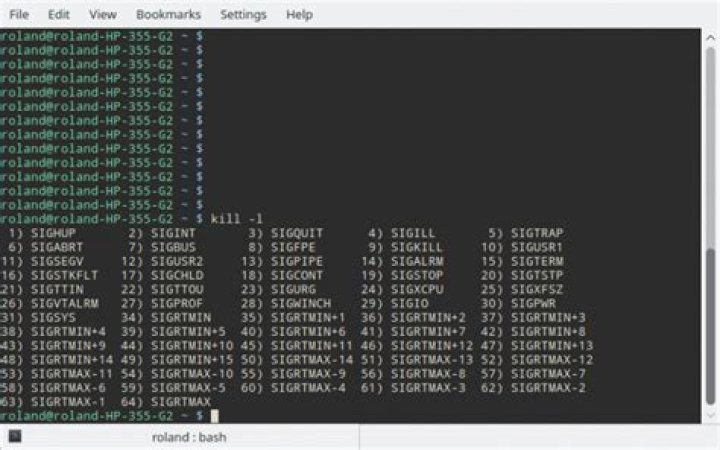 Are there any standard exit status codes in Linux?