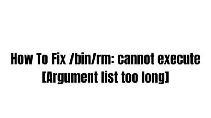 Argument list too long error for rm, cp, mv commands