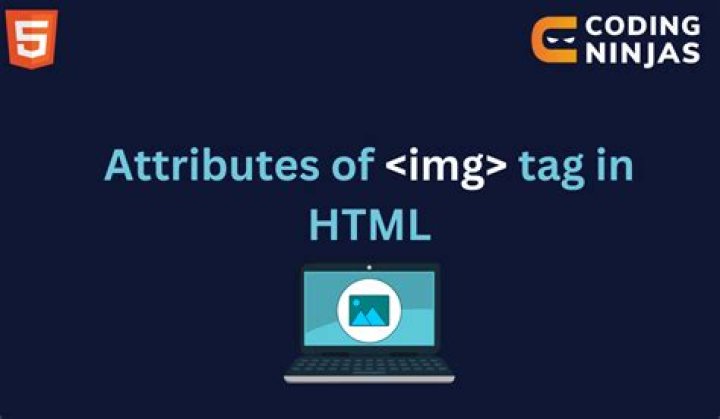 Assign a class name to <img> tag instead of write it in css file?
