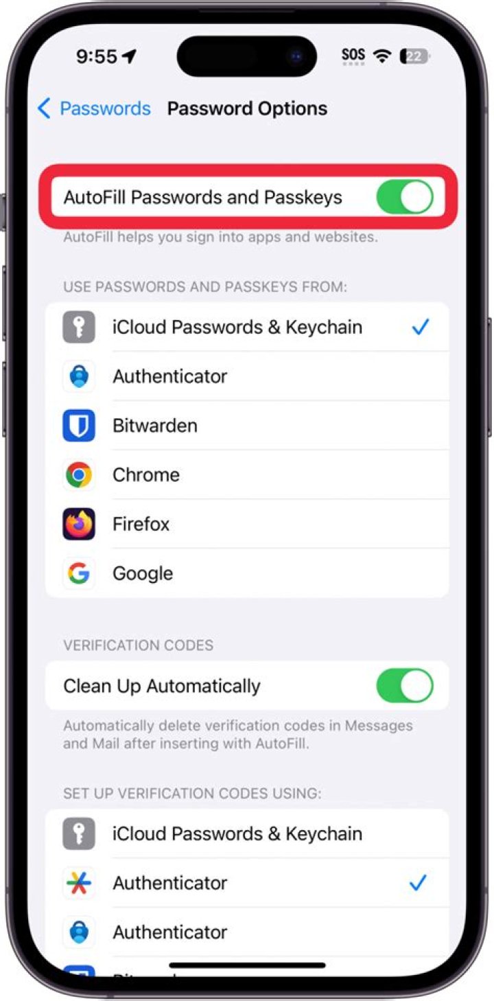autofill passwords takes time to fill the field