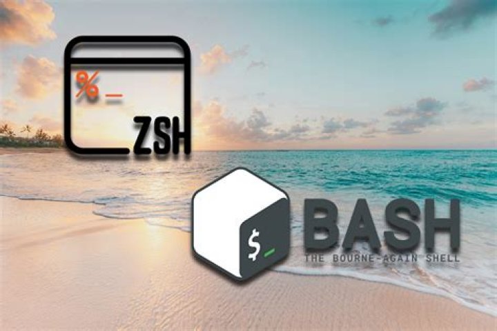 Bash and Zsh profile confusion