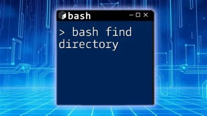 bash find directories