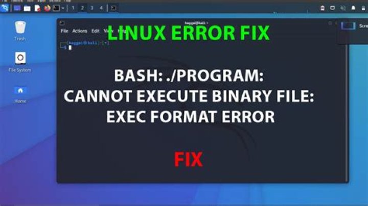 bash: ./qt-unified-linux-x64-4.1.1-online.run: cannot execute binary file: Exec format error