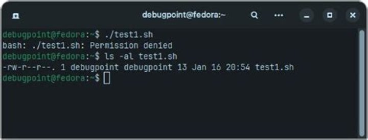 Bash Script Permission Denied when tying to run