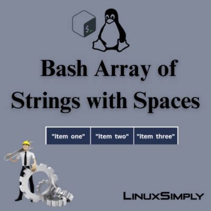 bash: using 