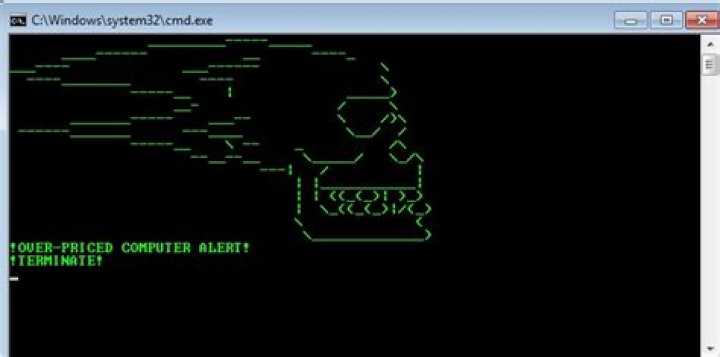Batch cmd closes with ascii art?