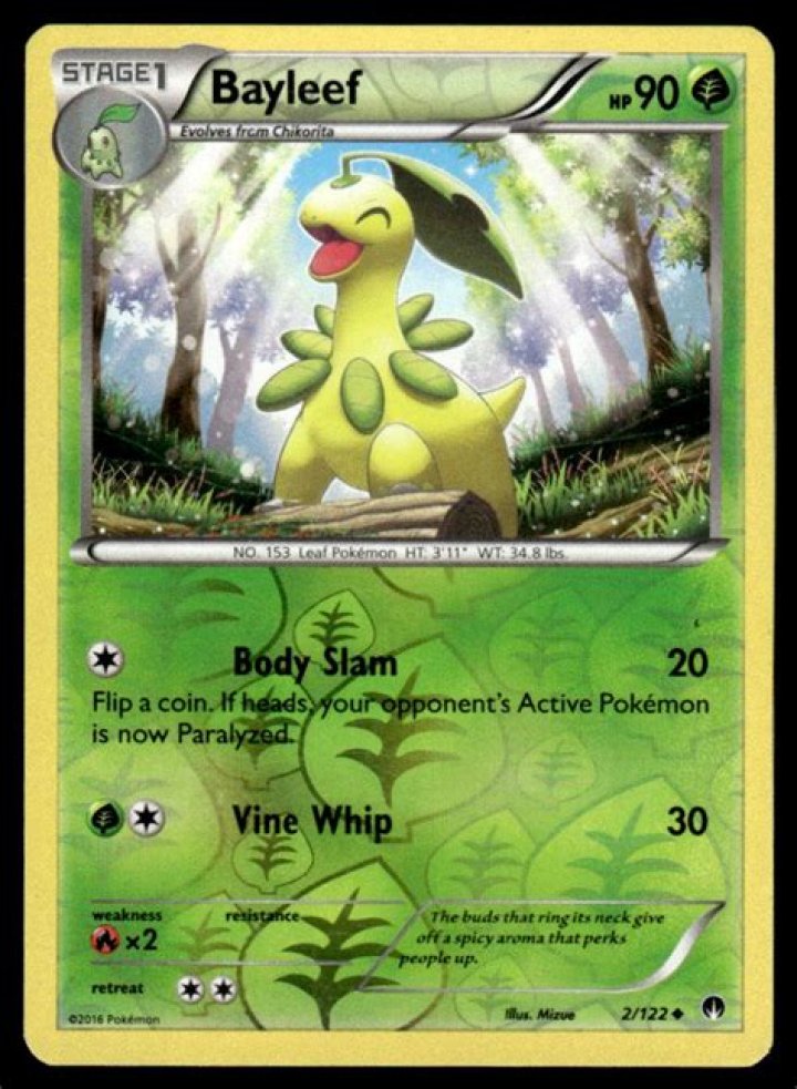 bayleef 2