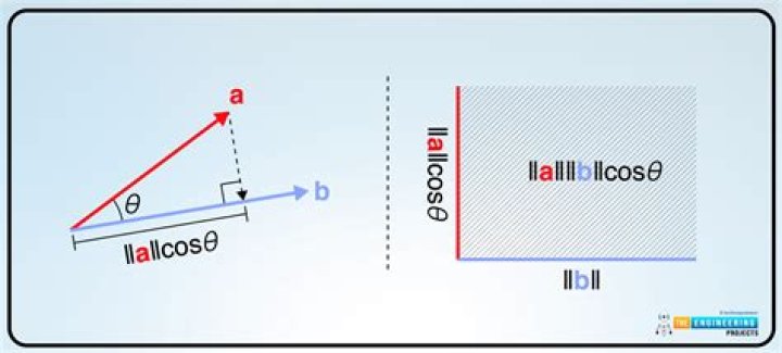 Biorthogonality of vectors