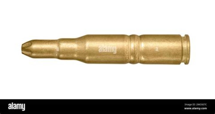 Blank cartridge image courtesy of Nerdysimmer 