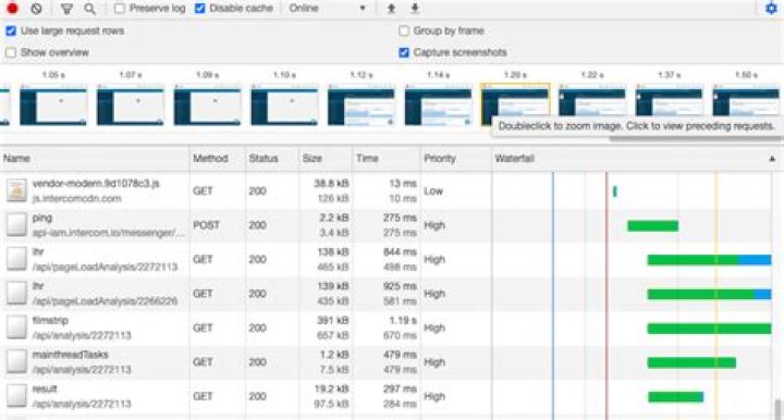 browser developer tools / network tab
