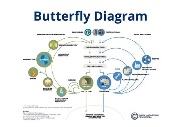 Butterfly diagram