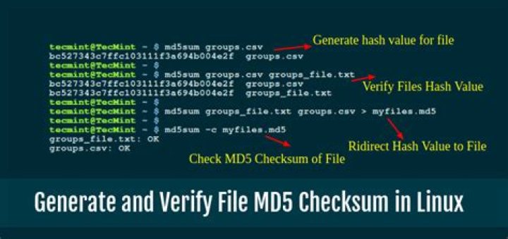 Calculate MD5 checksum for a file