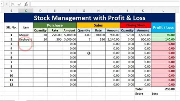 Calculating Stock Profit/Loss in Excel