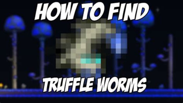 Can't find Truffle Worm