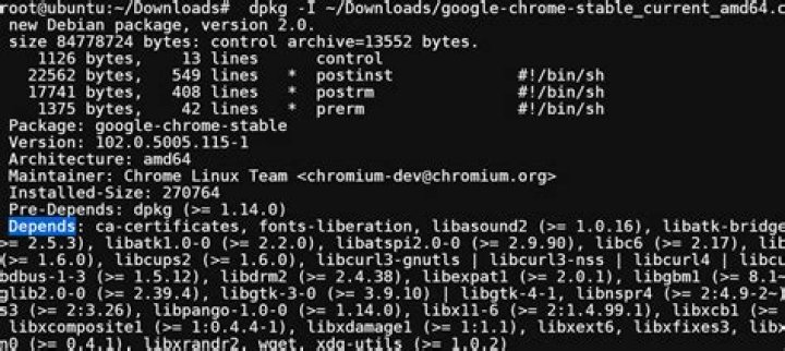 Can't install .deb version of Chrome [duplicate]