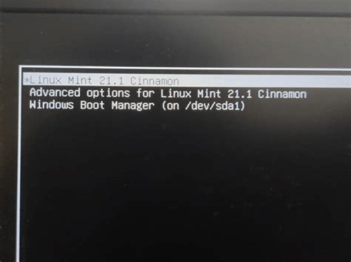 Can't install Linux Mint after Windows 11