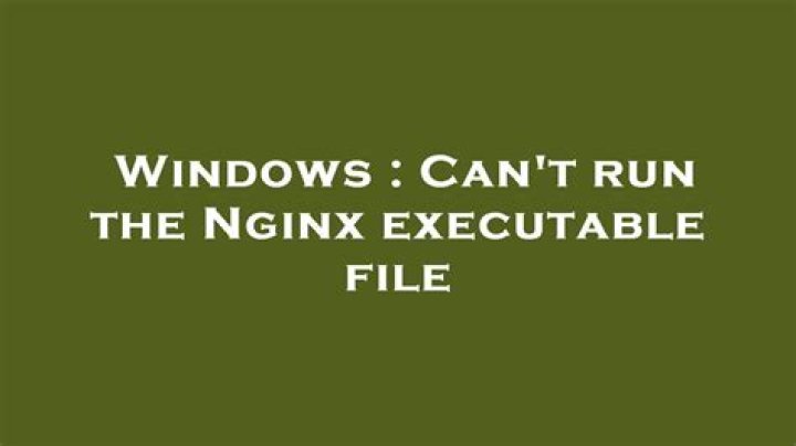 Can't run the Nginx executable file
