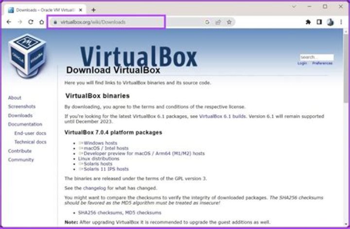 Can't run WSL (2) on a Windows 10 VM running in VirtualBox on host macos Big Sur