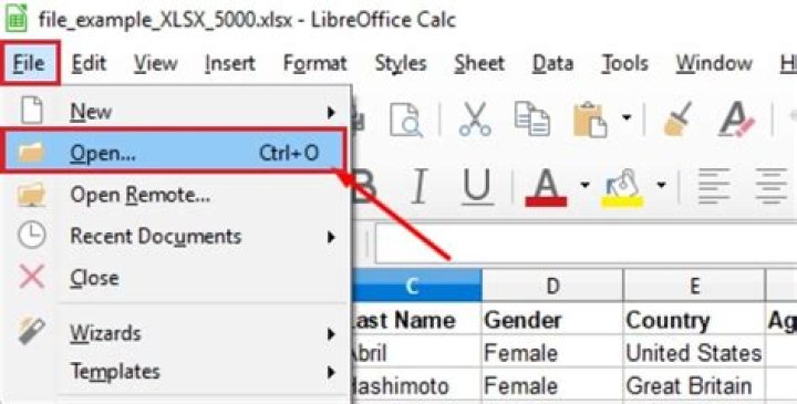 Can I open Excel .xlsx files with LibreOffice Calc?