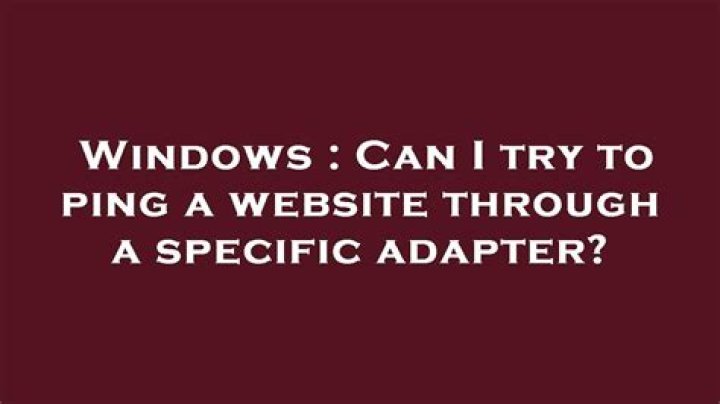 Can I try to ping a website through a specific adapter?
