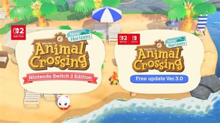 Can one Animal Crossing New Horizons digital copy be used on two Switches with two islands