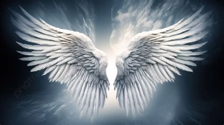 Can you use high tier wings with other wings in the social slot?