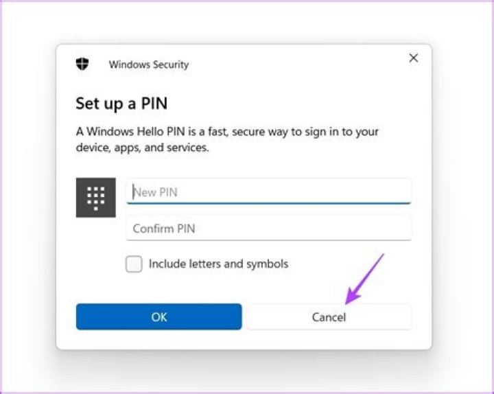Cancel windows login