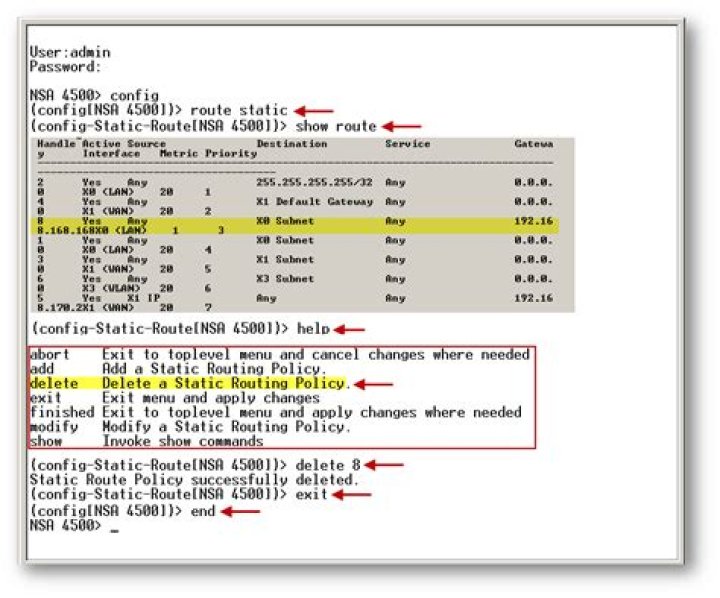 cannot delete static route on mac