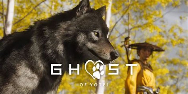 Cannot get the ghost table correct