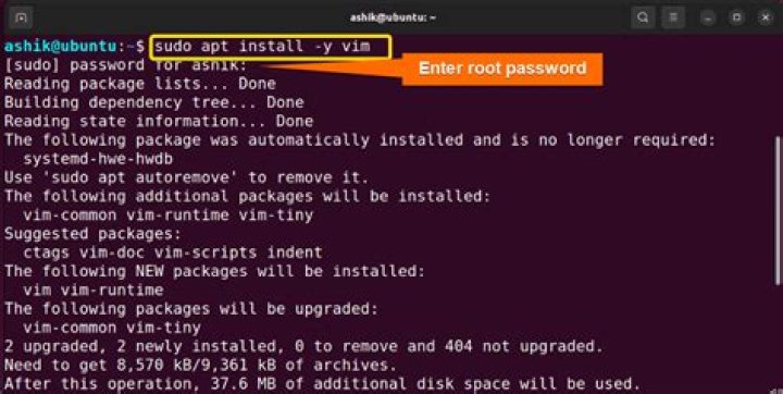 Cannot Install vim with apt-get