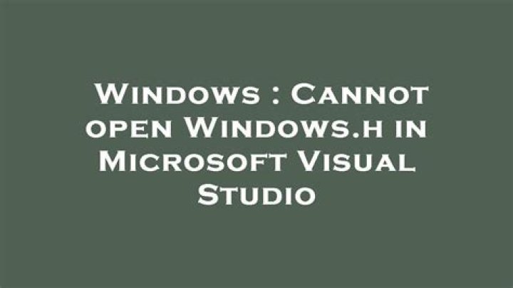 Cannot open Windows.h in Microsoft Visual Studio