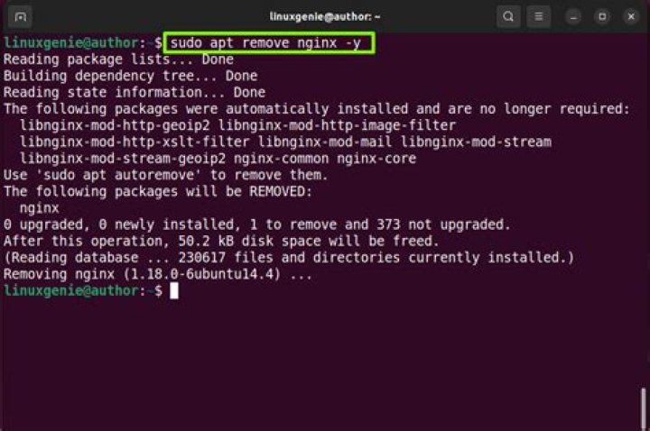 Cannot remove NGINX